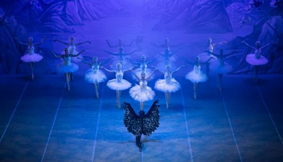 Балет «Лебединое озеро», Ливны