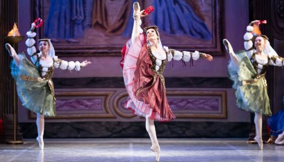 Балет «Лебединое озеро», Ливны