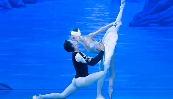 Балет «Лебединое озеро», Ливны