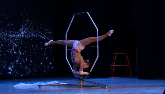 Цирковое шоу «Парадиз», Мценск